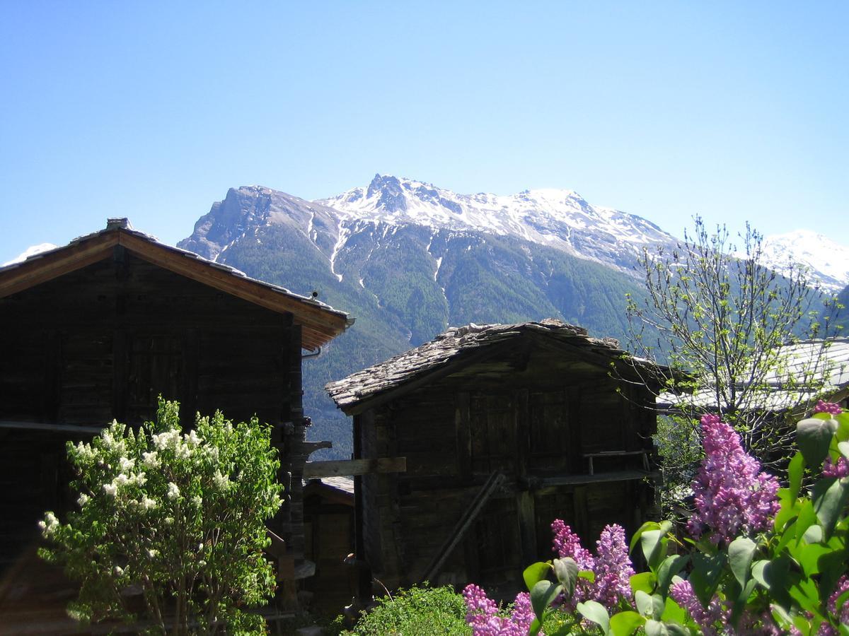 Bergquell Haus D Διαμέρισμα Blatten bei Naters Εξωτερικό φωτογραφία